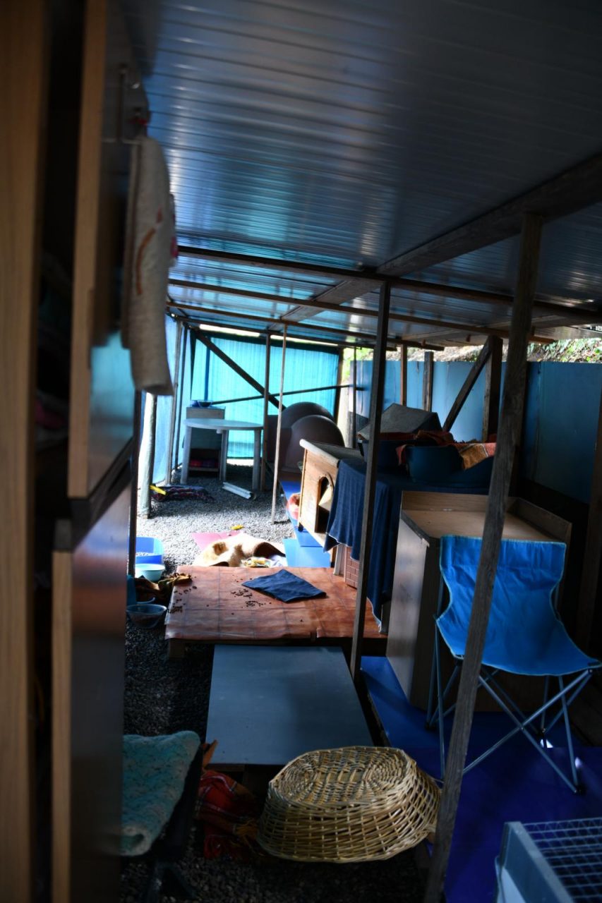 Atti vandalici al rifugio per gatti a Palazzolo