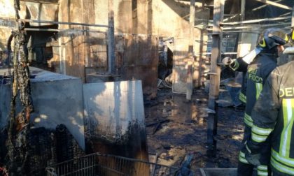 Incendio al gattile di Rho,non ci sono animali superstiti