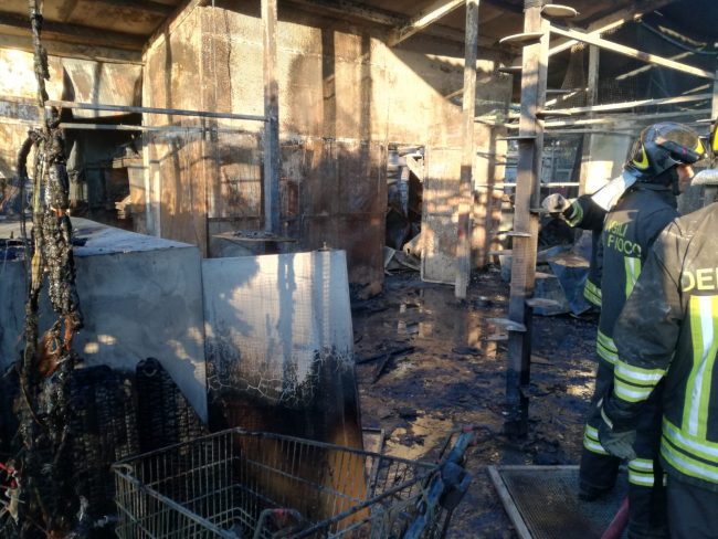 Incendio al gattile di Rho,non ci sono animali superstiti