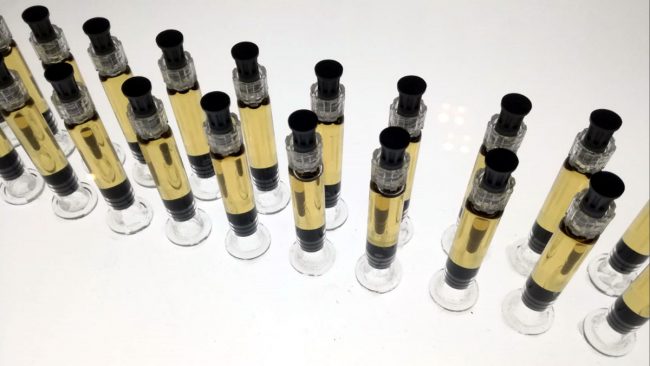 Allarme polmonite West Nile e legionella: Lombardia sotto assedio