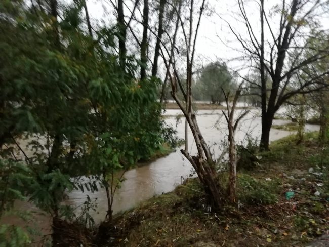 Maltempo: i fiumi fanno paura, ecco le situazioni dell’Adda e del Po FOTO E VIDEO
