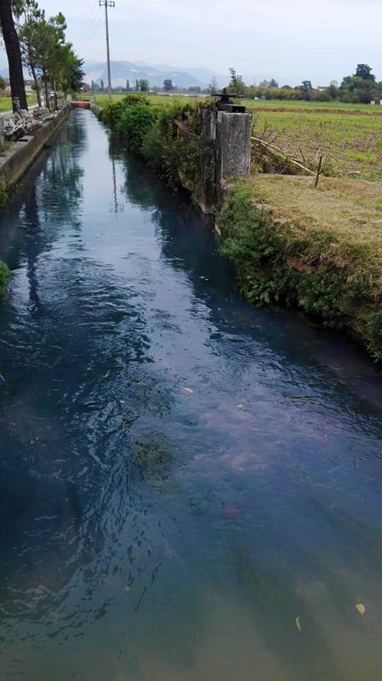L’acqua della roggia diventa viola e verde, Ats e Arpa indagano