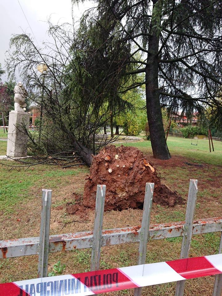 Maltempo anche a Castenedolo: albero cade e trancia i cavi della corrente