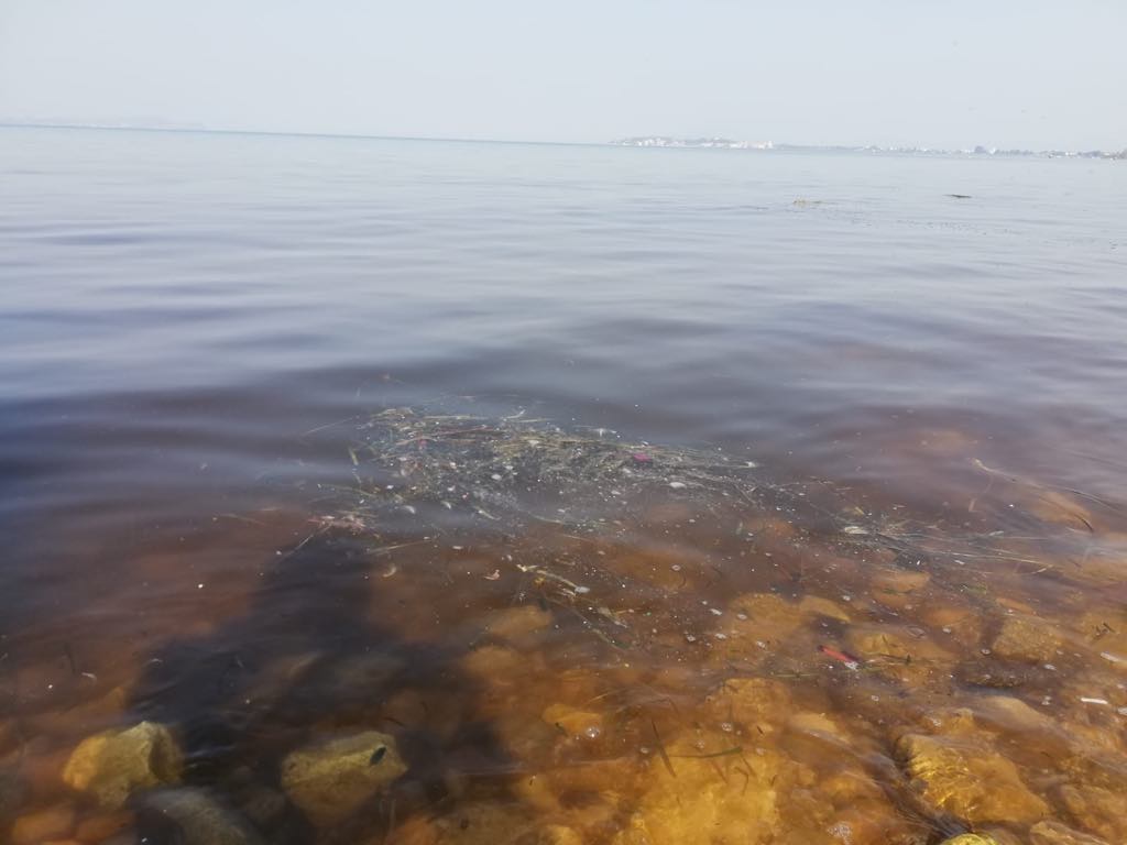 Torna il mistero dell’acqua rossa a Desenzano