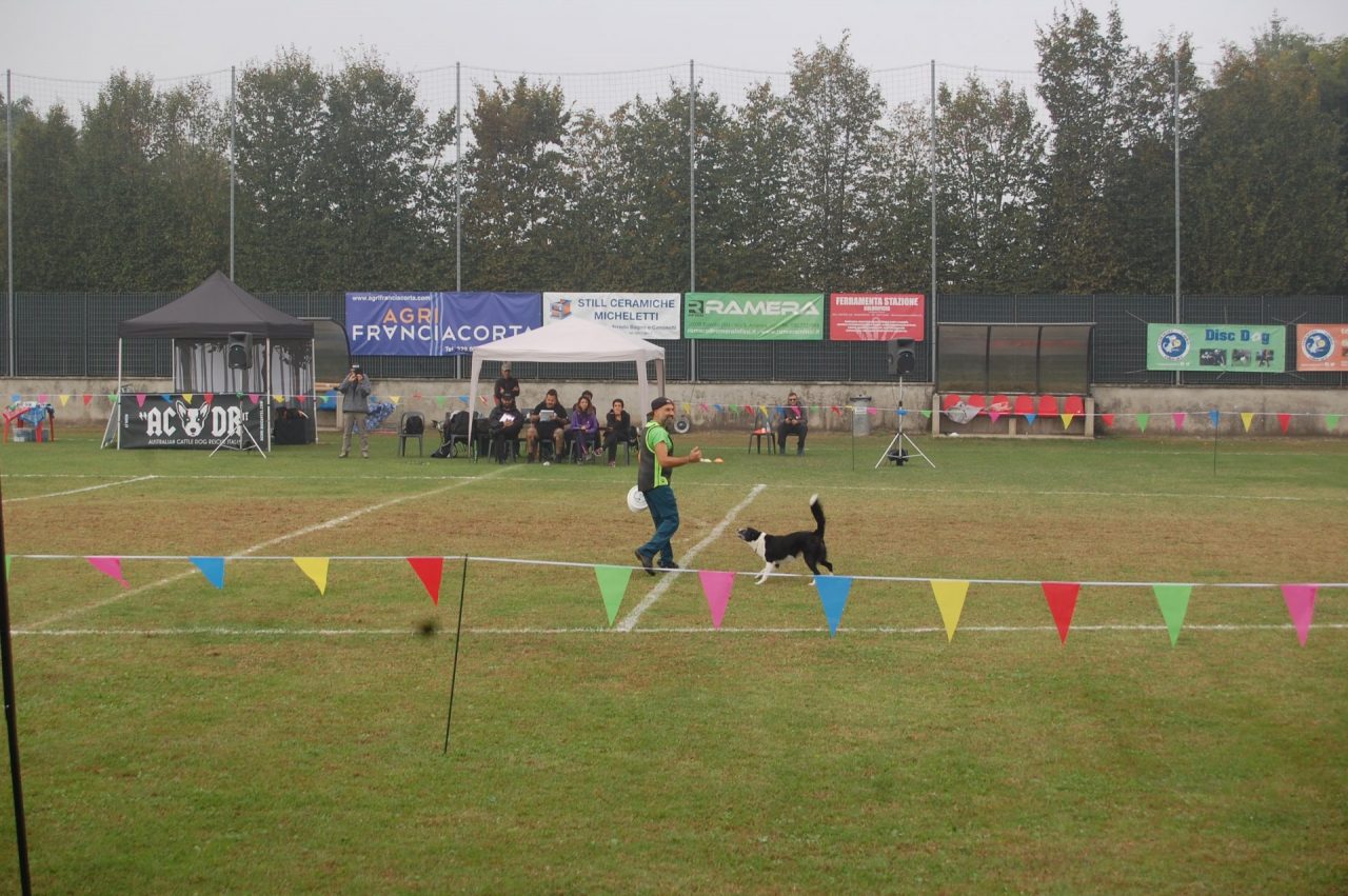 Disc Dog spettacolo a Sant’Andrea VIDEO