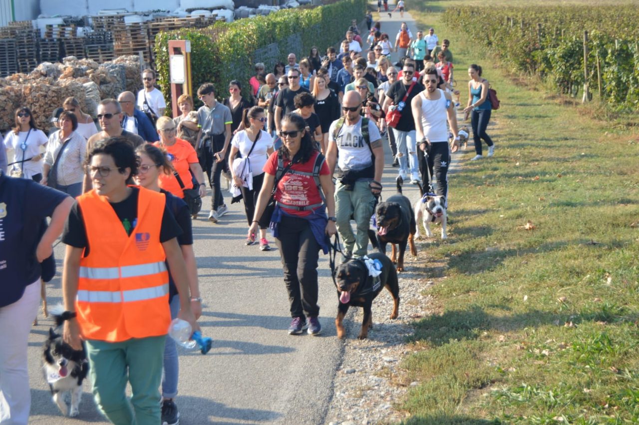 Più di 50 cani e quasi un centinaio di persone al pomeriggio benefico Oipa