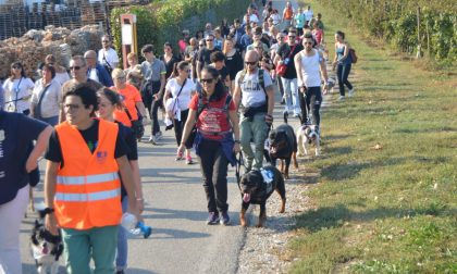 Più di 50 cani e quasi un centinaio di persone al pomeriggio benefico Oipa