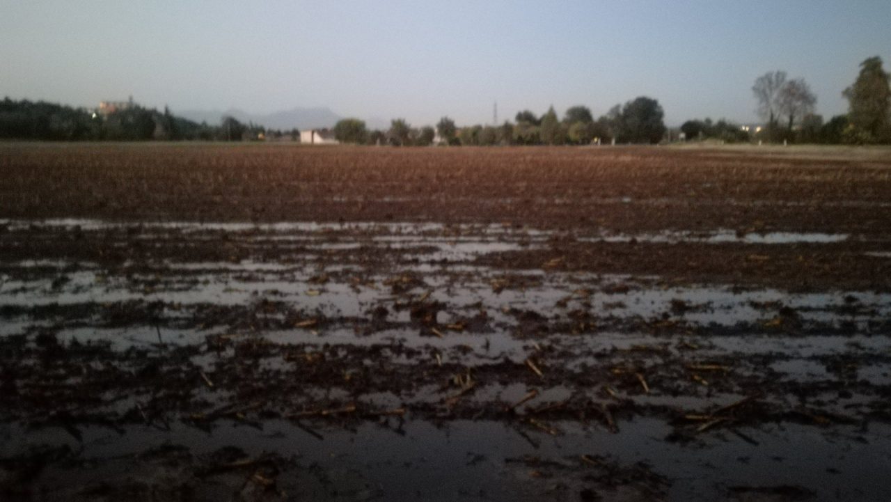 Il business dei fanghi è sorvegliato speciale