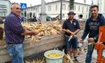Festa dell'agricoltura in piazza a Coccaglio VIDEO