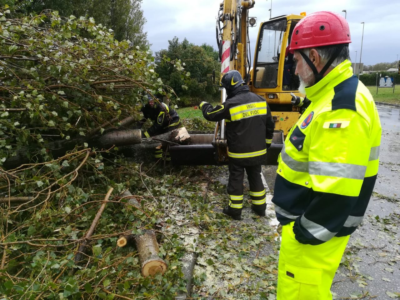 Maltempo a Capriano, caduti alberi sulla quinzanese