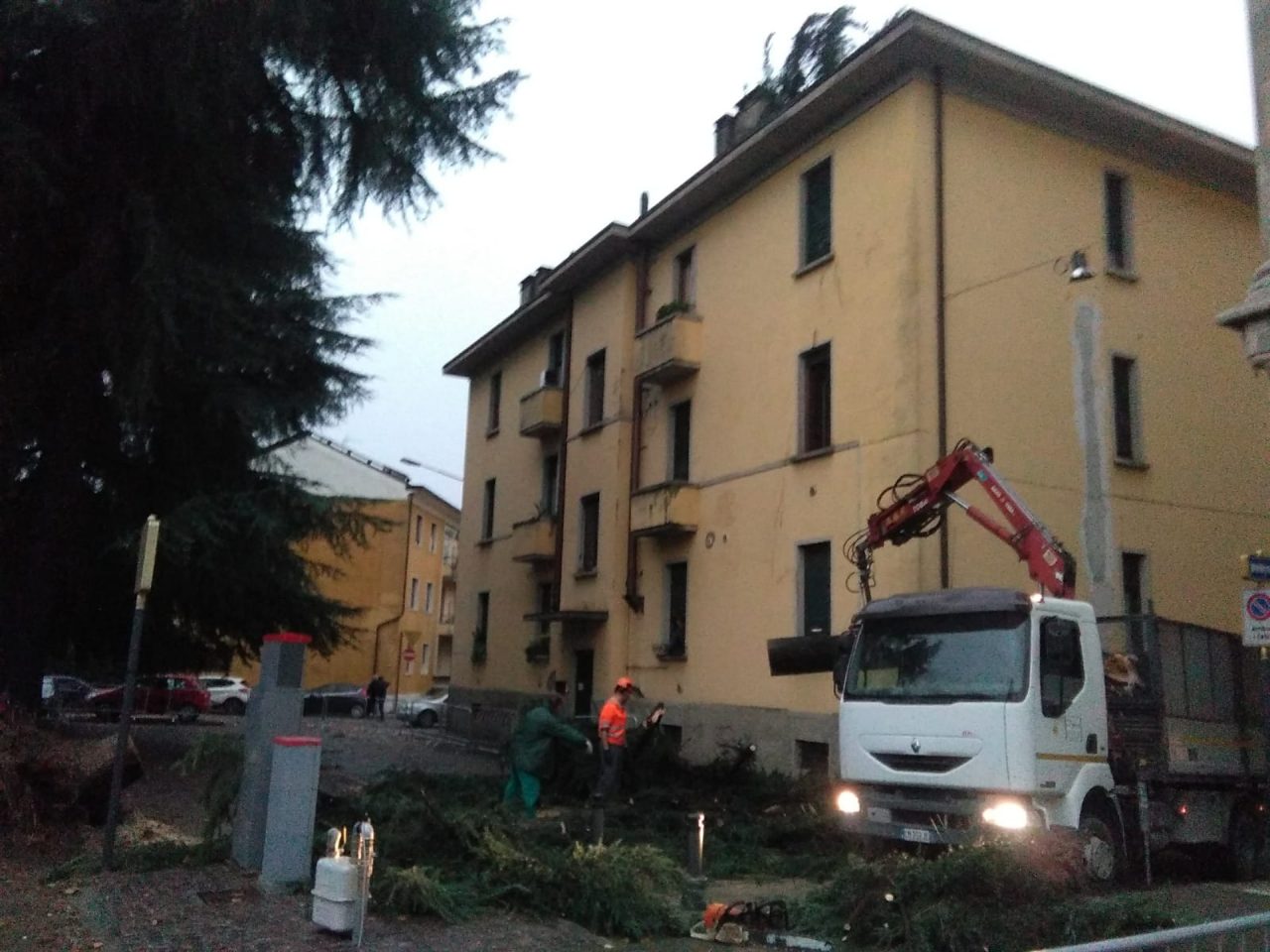 Caduto albero nel parco di viale Mellini a Chiari FOTO E VIDEO