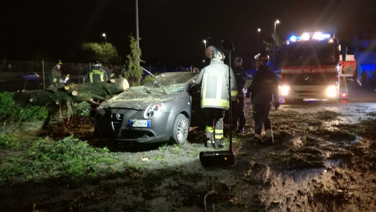Albero cade su una automobile