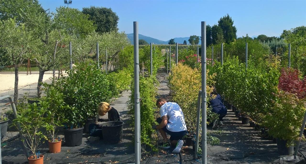 I 22 comuni del Garda bresciano insieme per Legami Leali