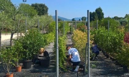 I 22 comuni del Garda bresciano insieme per Legami Leali