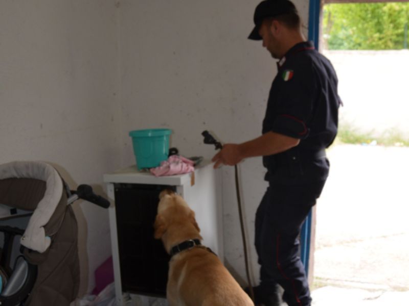 Cane fiuta droga nel quadro elettrico: arrestato spacciatore