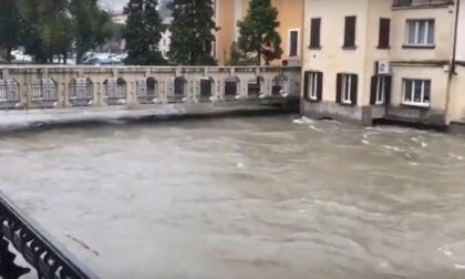 Situazione critica per il fiume Oglio VIDEO