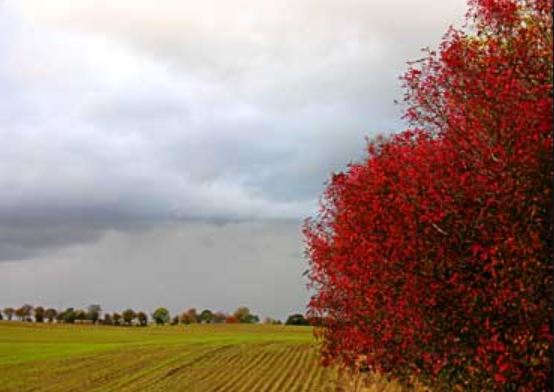 Meteo Brescia, fra qualche giorno pioggia e temperature in calo