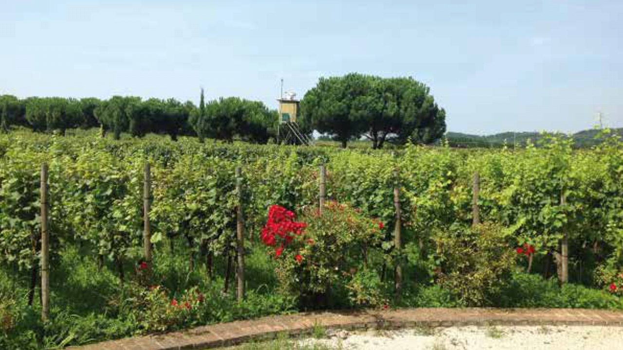 Il conte Catturich di Passirano è stato assolto