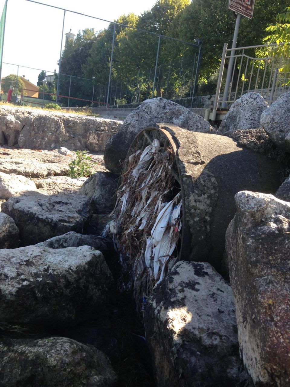 Confermati scarichi a lago inquinanti anche alla Maratona di Desenzano