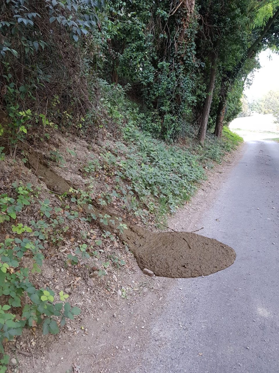 Allarme sversamenti in Valtenesi: controlli al Rio Marle e D’Avigo