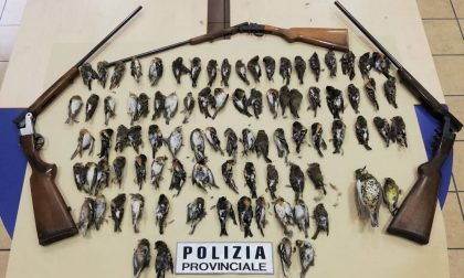 Bracconieri hanno abbattuto centinaia di animali protetti in Valsabbia