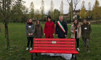 Panchina rossa al parco don Giussani di Pozzolengo