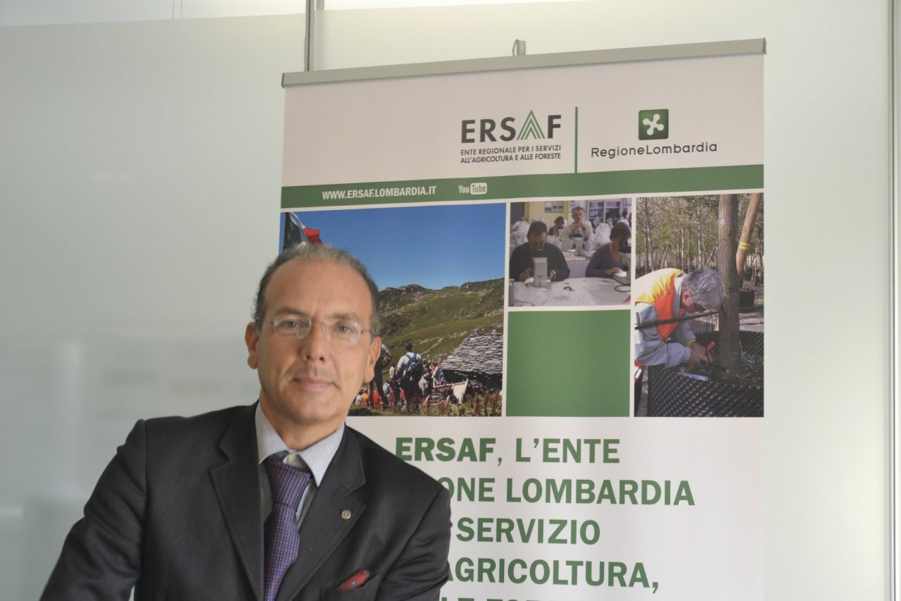 World Forum on Urban Forests: a Mantova l’evento internazionale