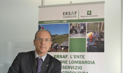 World Forum on Urban Forests: a Mantova l'evento internazionale