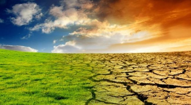 Fermare i gas serra entro il 2050: anche Fondazione Cariplo in campo