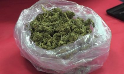 Piancogno, nasconde marijuana in casa arrestato dai Carabinieri
