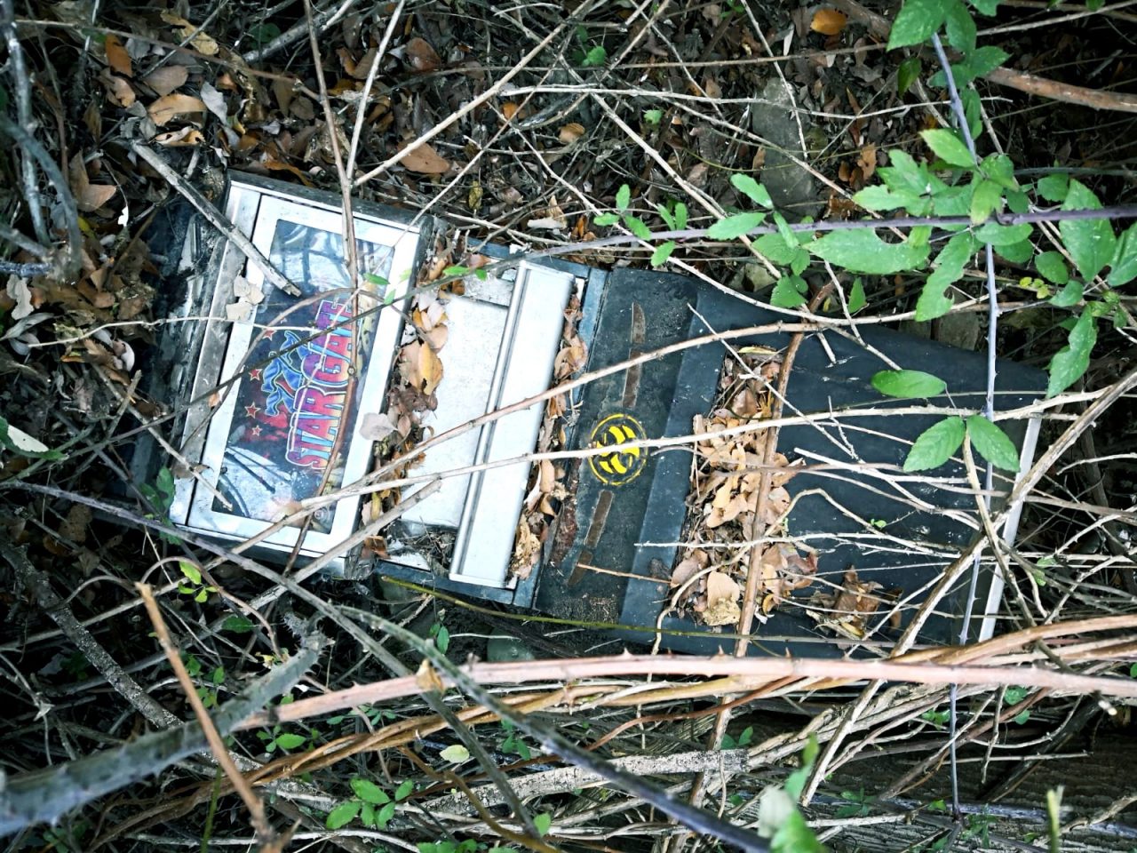 Ritrovate slot machine nella Riserva delle Torbiere del Sebino