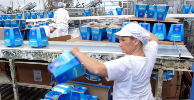 Melegatti risorge dalle ceneri: a ruba i pandori. Zaia: “Un gran regalo di Natale”