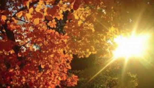 Sarà un fine settimana dal sapore poco invernale PREVISIONI METEO