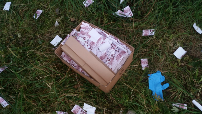 Incursione vandalica, una pioggia di soldi sul pratone di Pontida