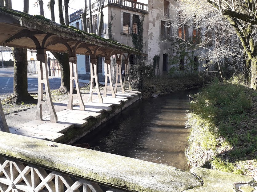 La roggia più inquinata d’Europa è nella Bassa