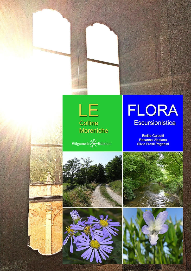 “Le colline moreniche. Flora escursionistica” in biblioteca a Castiglione delle Stiviere