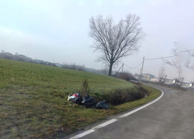 Foto trappole a Castel Goffredo