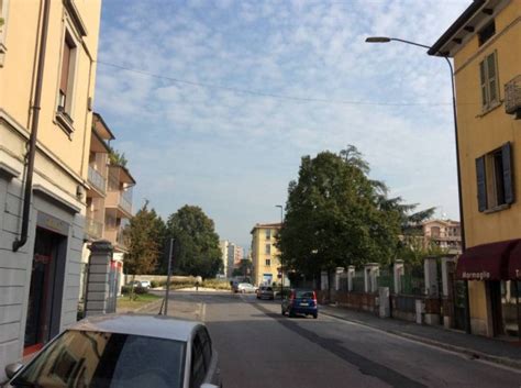 Tenta di rapinare negozio di fiori, arrestato dalla Polizia