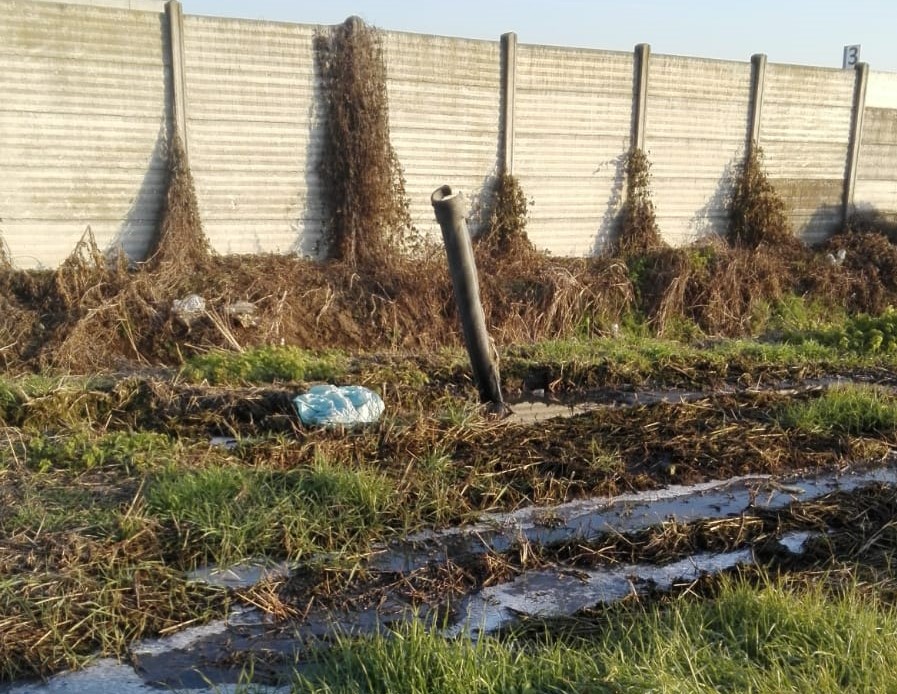 Degrado e inciviltà sulla strada della Betturina a Manerbio