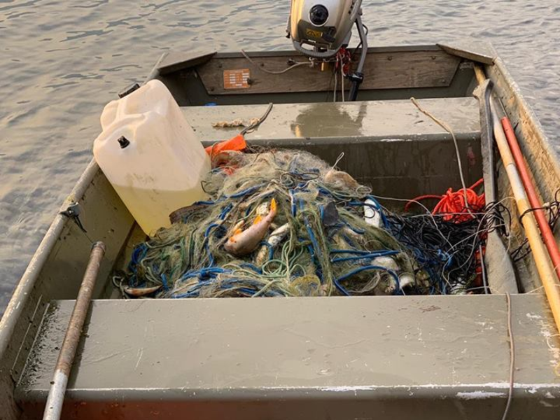 Maxi sequestro di reti abusive sul lago d’Iseo