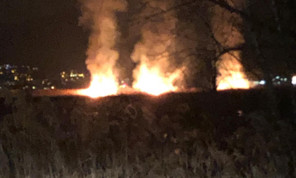 Bruciano le lamette: a fuoco il canneto delle Torbiere VIDEO