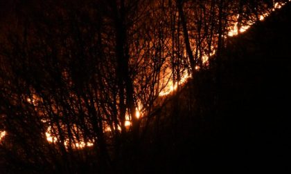 Da Regione il divieto di accensione di fuochi: è allerta incendi boschivi