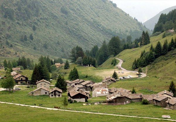 Ville e Saloni con i fondi per l’agricoltura, truffe per più di 200mila euro