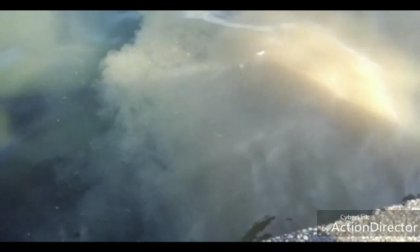 Desenzano, feci e carta igienica in acqua. La denuncia del Wwf VIDEO