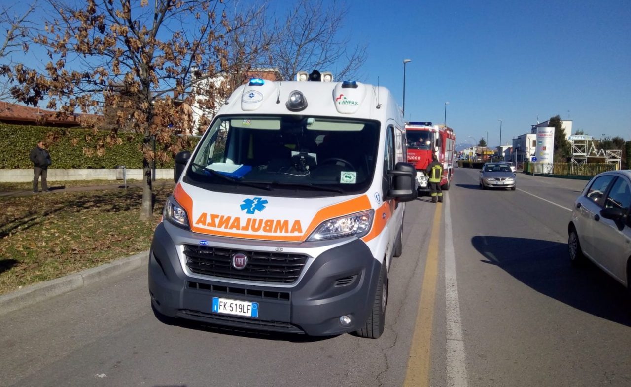 Cani di grossa taglia mordono un postino, una donna e un passante