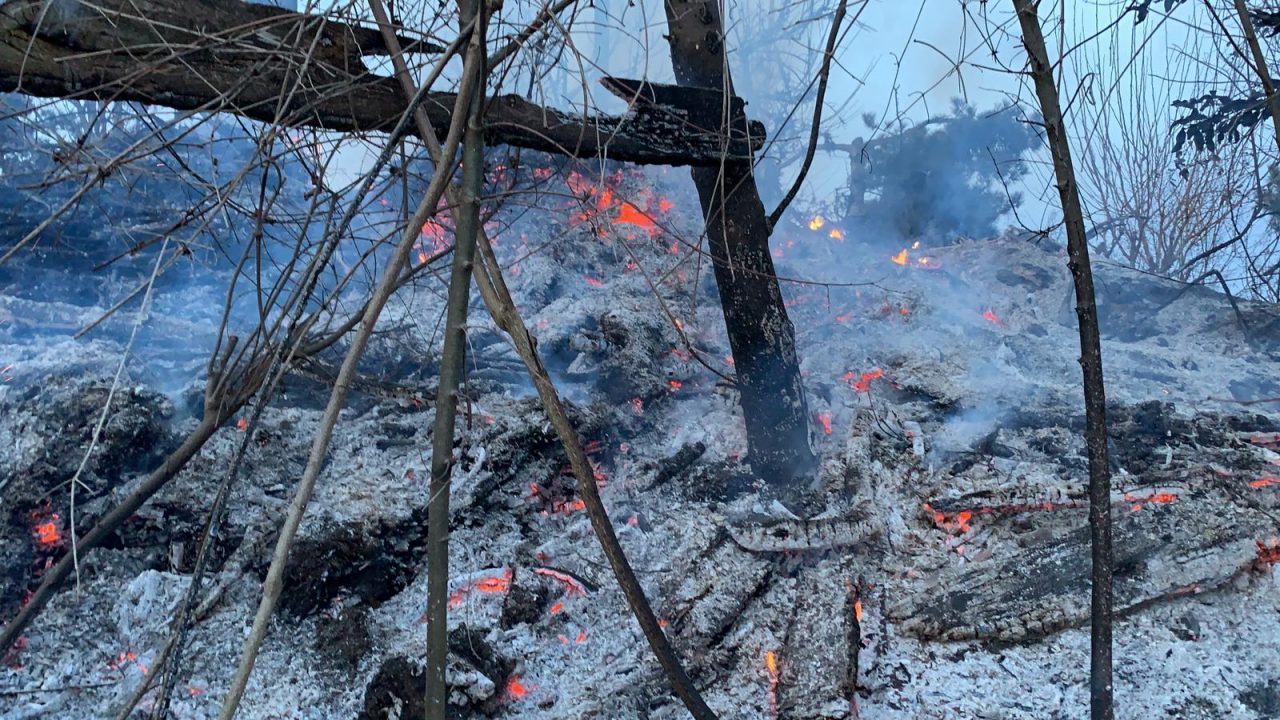 Incendio sul Monte Orfano: Vigili del fuoco al lavoro VIDEO