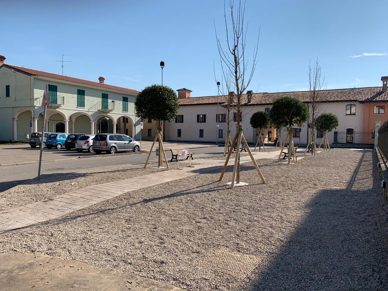 Addio ai tigli di Bassano: “una scelta difficile, ma necessaria”