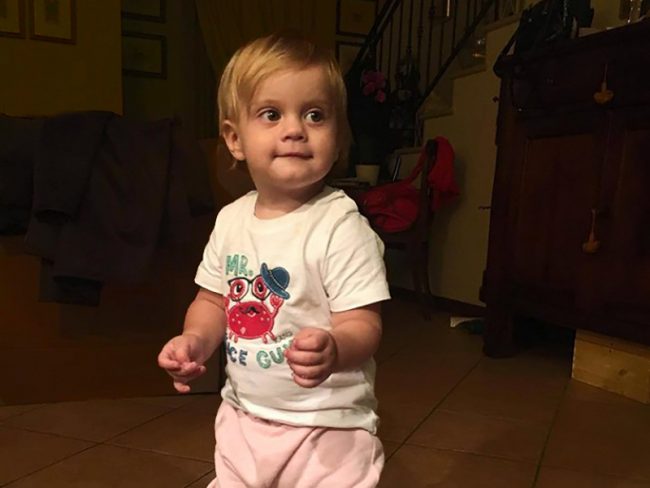 Uccisa dai cani a Flero: niente abbreviato per i genitori di Victoria