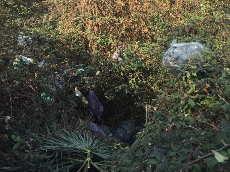 Furbetto del sacchettino beccato dalle fototrappole a Iseo