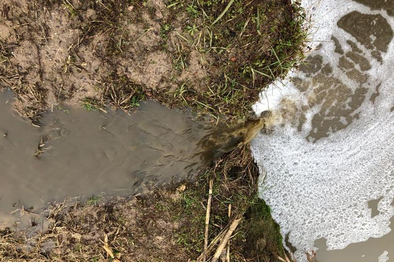 Sversamenti abusivi e rifiuti invadono la Bassa